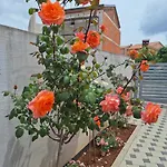 Apartma Nada, Tu Boste V Centru Poletnega Utripa