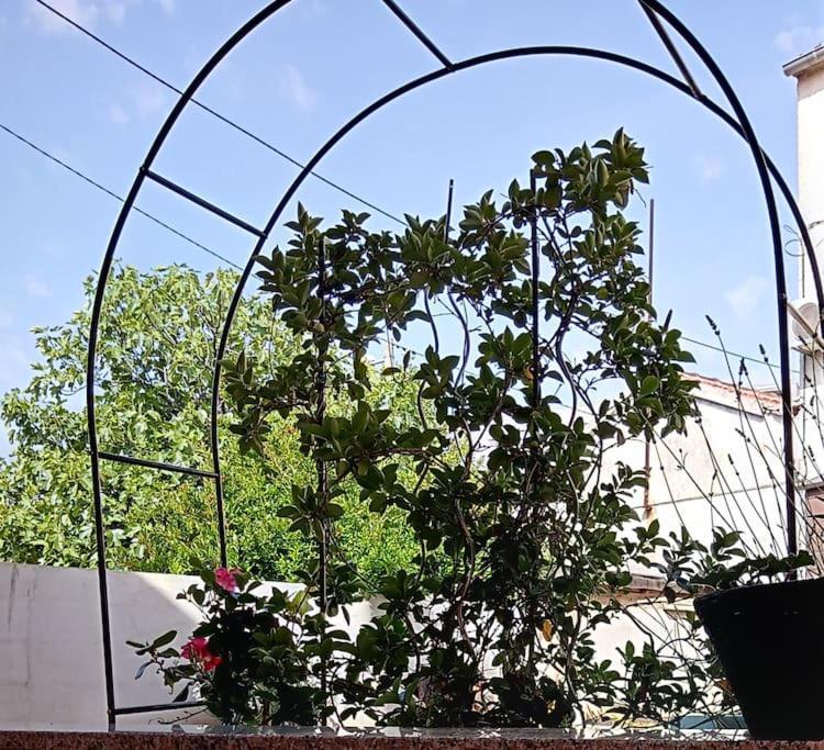 Apartma Nada, Tu Boste V Centru Poletnega Utripa *